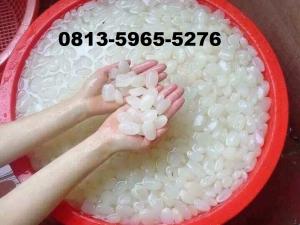 Pusat Jual Grosir Kolang kaling Kualitas Super Caruban Madiun Jawa Timur